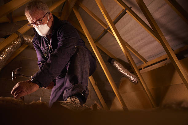 Best Wall Insulation Contractor  in Bull Run, VA