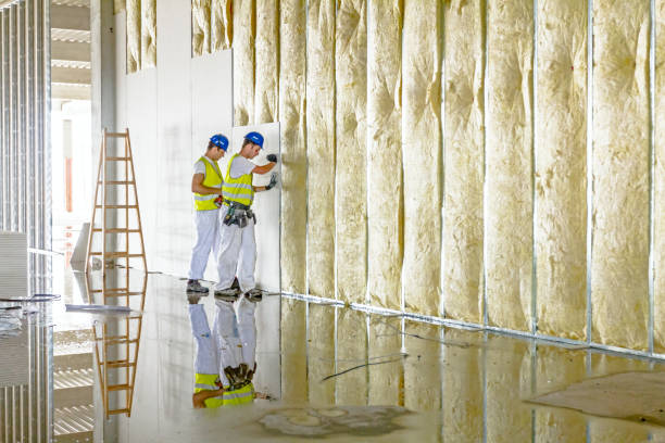 Best Home Insulation Services  in Bull Run, VA